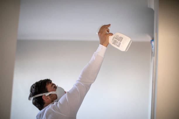 Best Mold Removal Near Me  in St Paris, OH